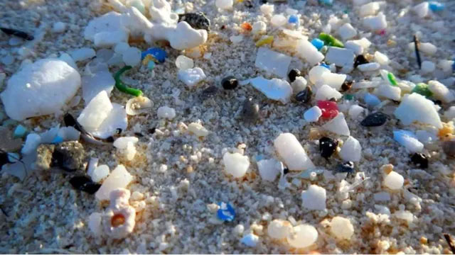 Rác thải nhựa ở bờ biển.