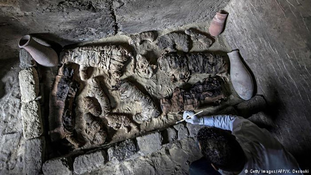 Nhiều xác ướp mèo mới được tìm thấy tại một ngôi mộ cổ nghìn năm ở Ai Cập.