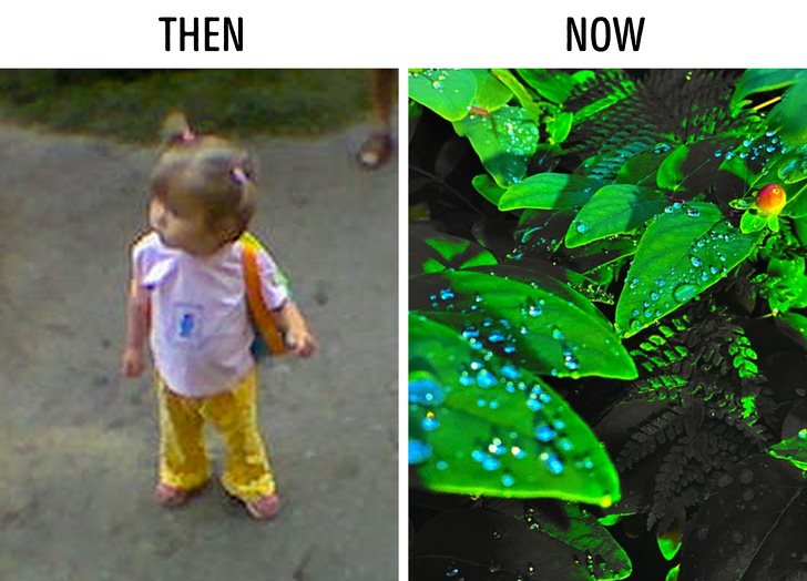 15 bức ảnh cho thấy sau 20 năm, mọi thứ có thể thay đổi khốc liệt đến thế nào