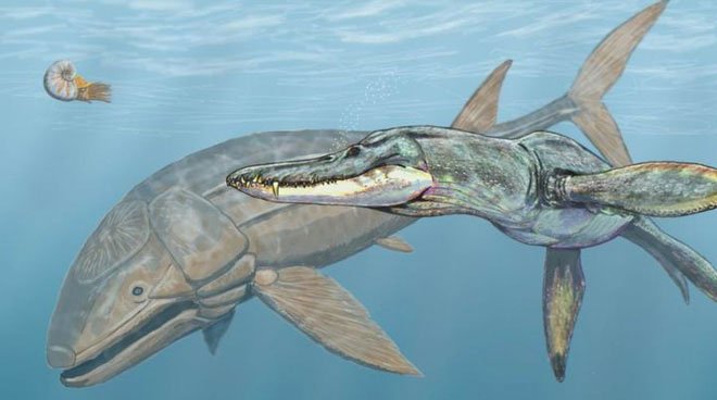 Cá Leeds sinh sống cách thời đại của chúng ta 160 triệu năm.