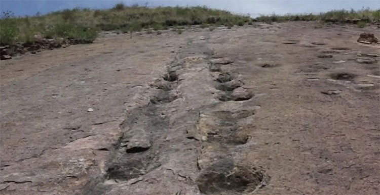 Qua hàng triệu năm, dấu chân khủng long lại hiện lên bề mặt.