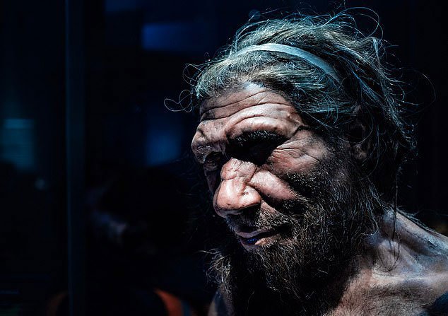 Một tượng sáp mô tả chân dung người Neanderthals