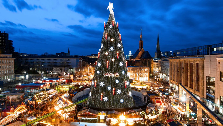 Có khoảng 60 triệu cây thông được trồng để phục vụ lễ Giáng sinh ở châu Âu.