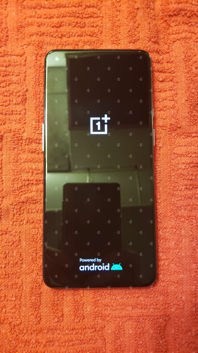 OnePlus 9 lộ ảnh thực tế: màn hình 120Hz, chip Snapdragon 888 ảnh 4