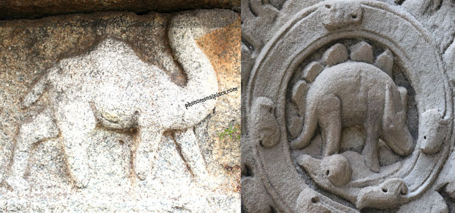 2 sinh vật được tìm thấy tại đền thờ cổ Ấn Độ Vittala.