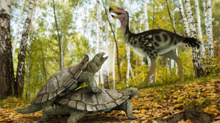 Hình ảnh loài rùa kỳ lạ được mô phỏng lại.