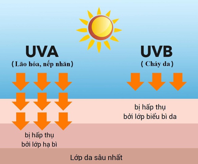 Có nên mua dụng cụ kháng khuẩn chống Covid-19 bằng tia UV tại nhà? - 3