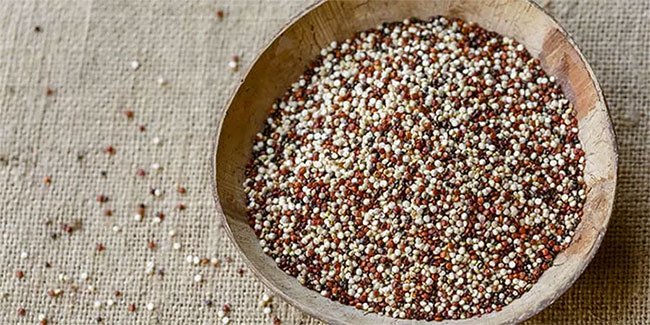 Quinoa là nguồn dinh dưỡng tuyệt vời, đặc biệt cho người ăn kiêng.