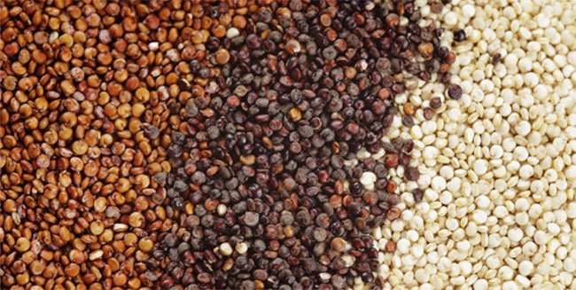 Có hơn 100 loại hạt quinoa trên thế giới, nhưng phổ biến nhất là hạt quinoa đỏ, đen và trắng.