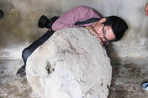 Tù Và nặng 200kg, cao 30cm được phát hiện trên thảo nguyên Bùi Hui.
