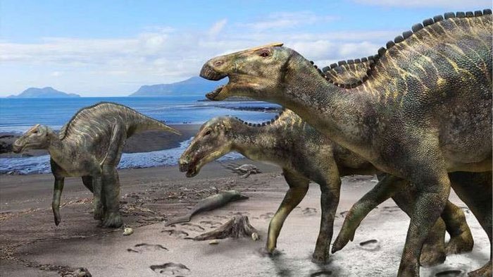 Khủng long mỏ vịt hadrosaur. 
