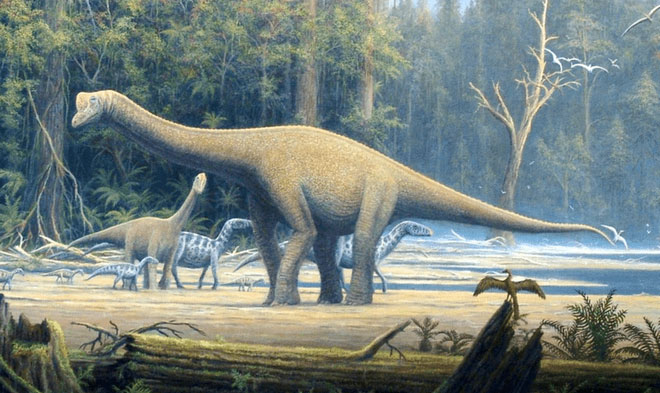 Kích thước của khủng long càng lớn thì khả năng chúng là động vật ăn cỏ càng cao.