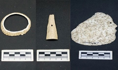 Vòng tay vỏ ốc, mặt trang sức bằng xương thú, mặt dây chuyền bằng vỏ điệp được phát hiện ở Suối Chình.