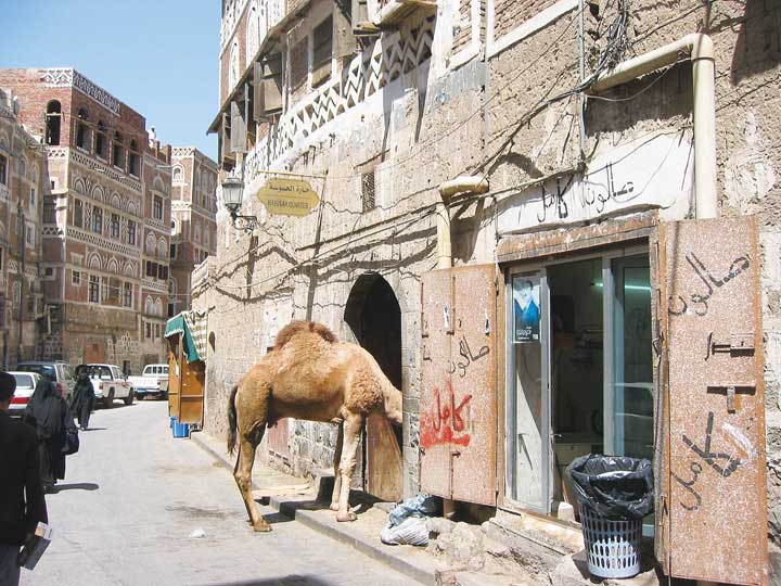 Đời sống trong khu phố cổ Aden.