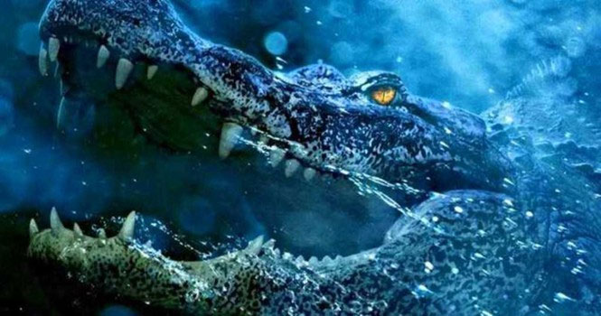 Vì sao cá sấu nuốt mồi dưới nước mà không bị sặc?