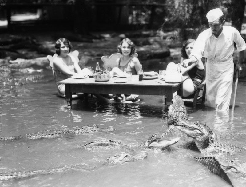 Những bức ảnh hiếm hoi về trại cá sấu những năm 1920 tại California, nơi trẻ em có thể cưỡi và chơi với cá sấu!