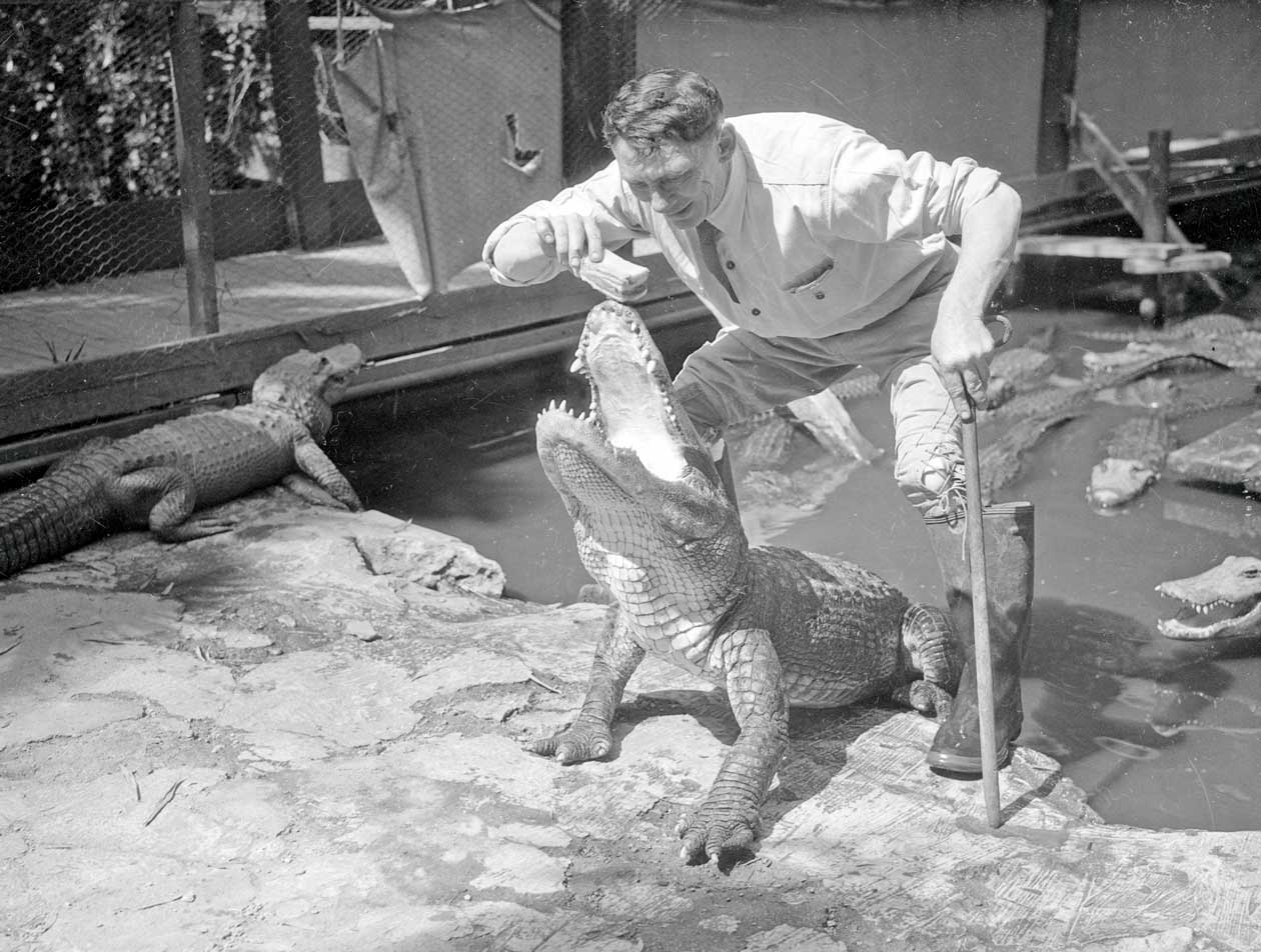 Những bức ảnh hiếm hoi về trại cá sấu những năm 1920 tại California, nơi trẻ em có thể cưỡi và chơi với cá sấu!