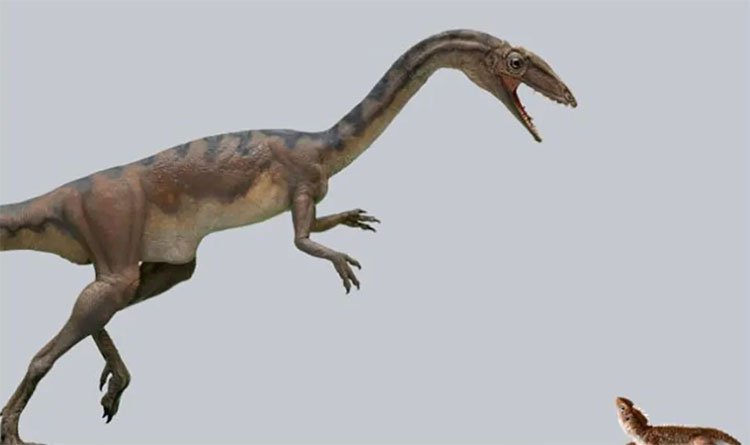 Một loài khủng long mới vừa được các nhà khoa học phát hiện sau nhiều năm xác định.