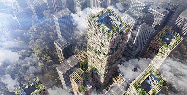 Tòa nhà bằng gỗ cao nhất thế giới sẽ được xây dựng tại Tokyo, Nhật Bản.
