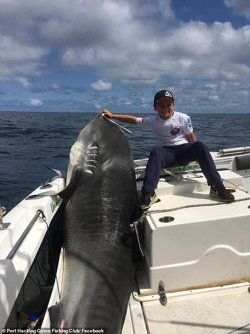 Choáng bắt được cá mập khủng nghi thành tinh nặng hơn 314kg