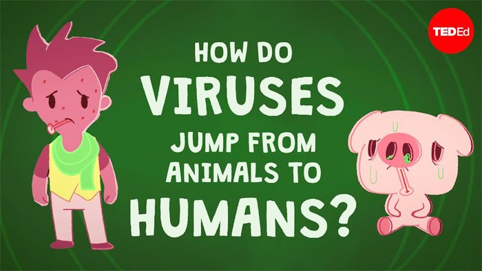 ​Virus là một loại ký sinh trùng hữu cơ lây nhiễm gần như lên tất cả mọi thể sống