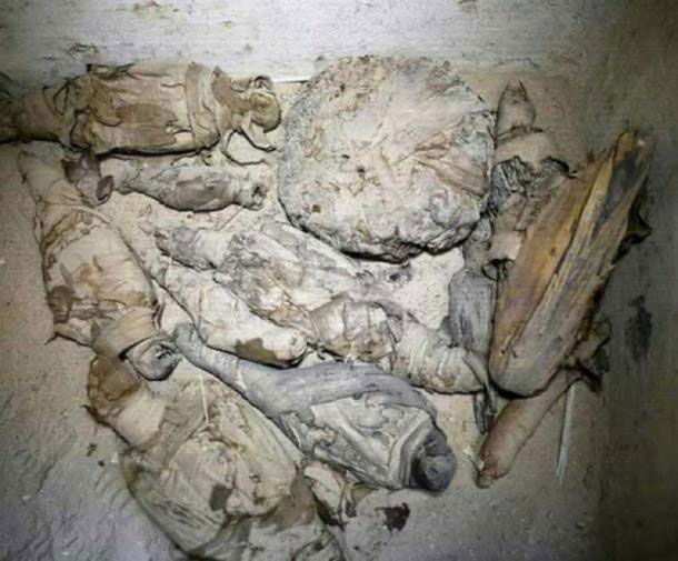 Các xác ướp của mèo được tìm thấy trong lăng mộ.