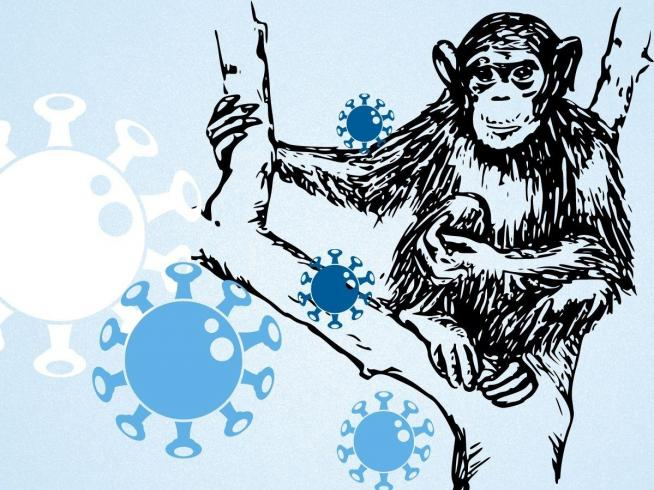 Lịch sử đậu mùa khỉ: Những điều cần biết