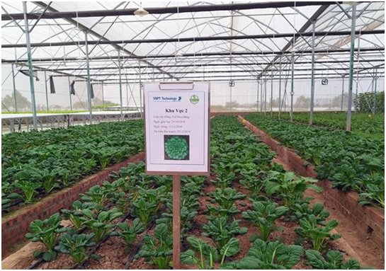 VNPT Technology xây dựng giải pháp thông minh hỗ trợ ngành nông nghiệp