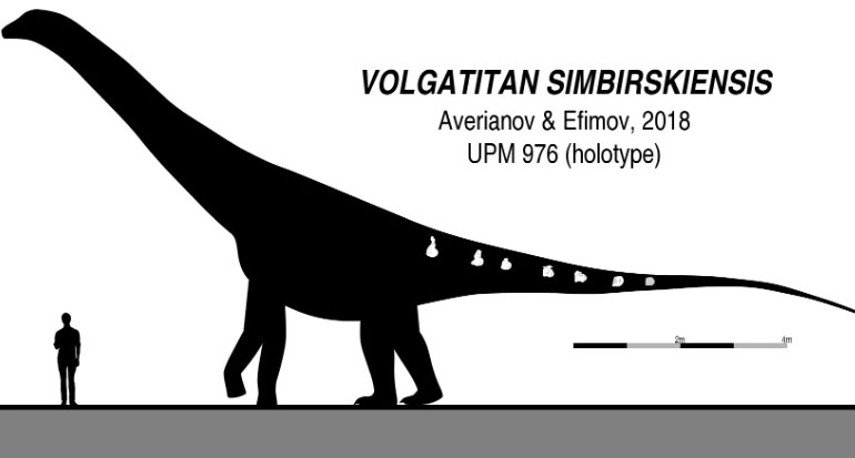 Một loài khủng long cổ dài khổng lồ mới được phát hiện.