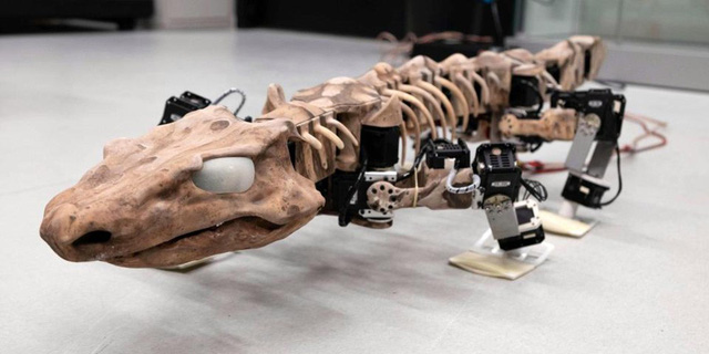 Hoá thạch loài thằn lằn cổ đại được tái sinh dưới dạng robot đặc biệt.