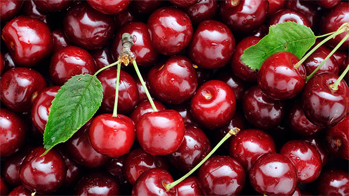 Mỗi ngày chỉ nên ăn từ 200 - 400g quả cherry.