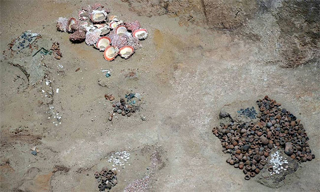 Vỏ sò Spondylus và các bình gốm bên trong mộ cổ.