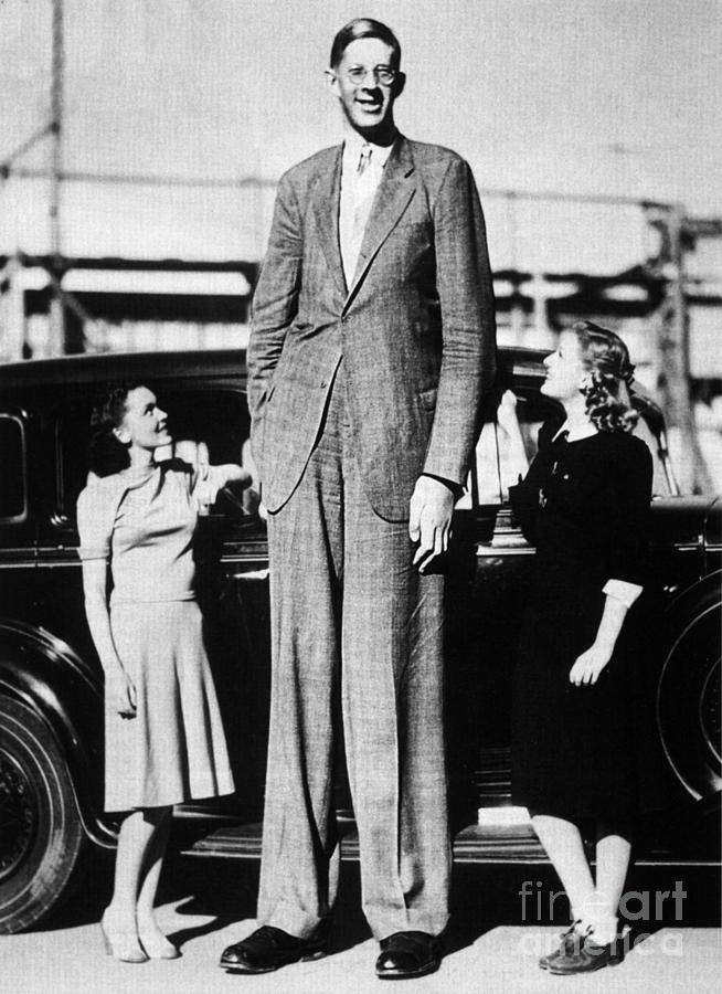 Người đàn ông cao nhất mọi thời đại