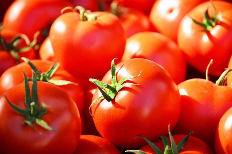 Chất Lycopene trong cà chua giúp phòng chống ung thư tiền liệt tuyến ở nam giới.