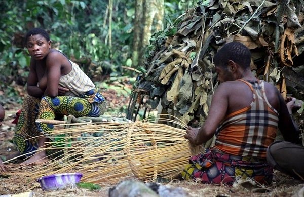 Phụ nữ thuộc bộ lạc Baka chỉ ở nhà đan lát và làm các công việc nội trợ.