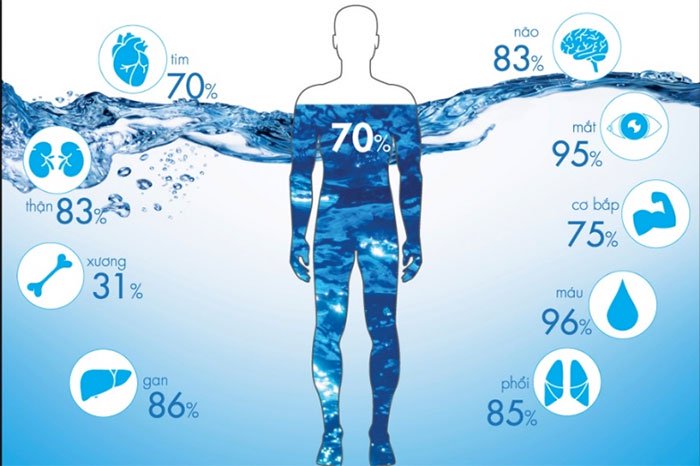 Nước sinh học bao gồm 70 nguyên tố hóa học.