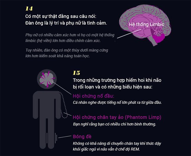 15 sự thật khó tin về não bộ