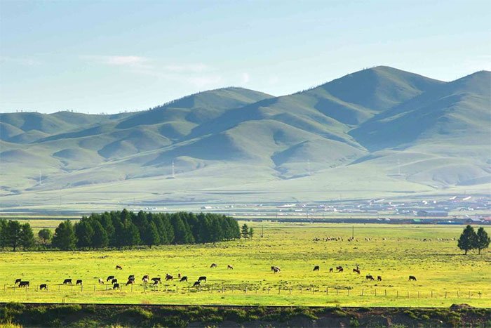 Tuyến tốc hành từ Ulaanbaatar đến Bắc Kinh