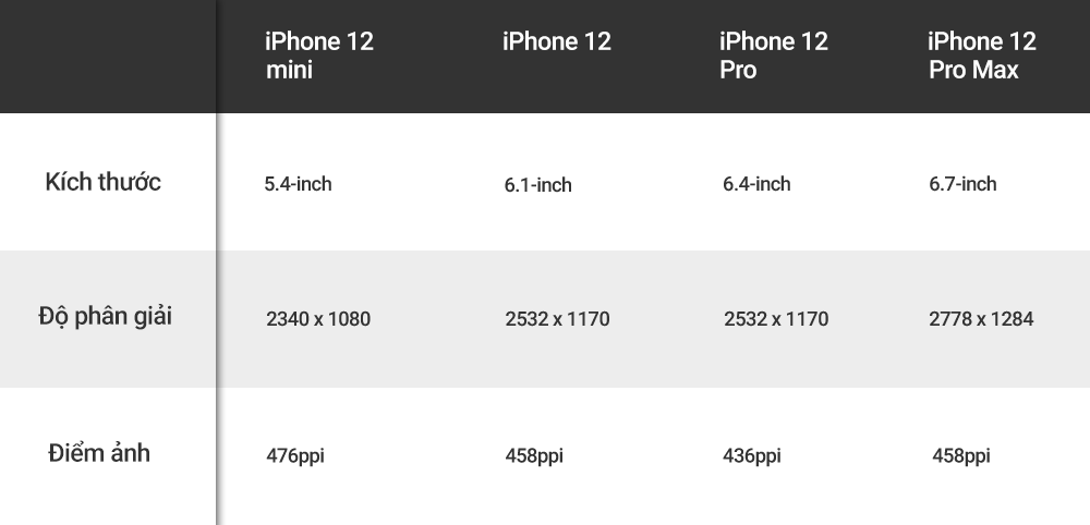 4 phiên bản iPhone 12, biết chọn bản nào? ảnh 4