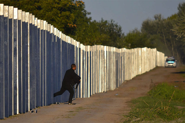 Một người di cư bỏ chạy sau khi xâm nhập vào Hungary bằng cách vượt qua hàng rào bảo vệ tạm thời