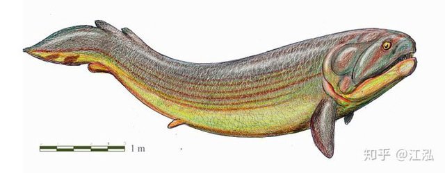 Rhizodus hibberti: Quái vật kinh hoàng của kỷ Carbon