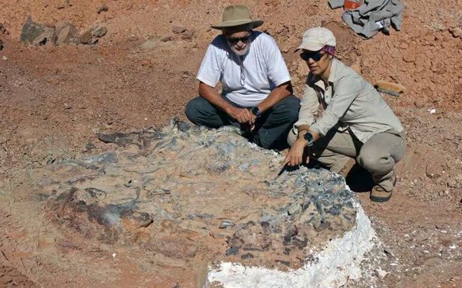 Nhà khảo cổ Argentina bên cạnh hóa thạch khủng long được tìm thấy ở khu vực.