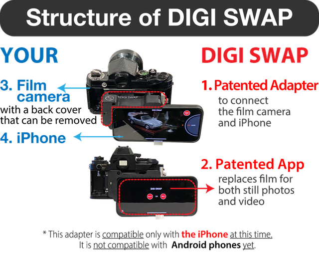 Digital Swap - Ảnh 2.