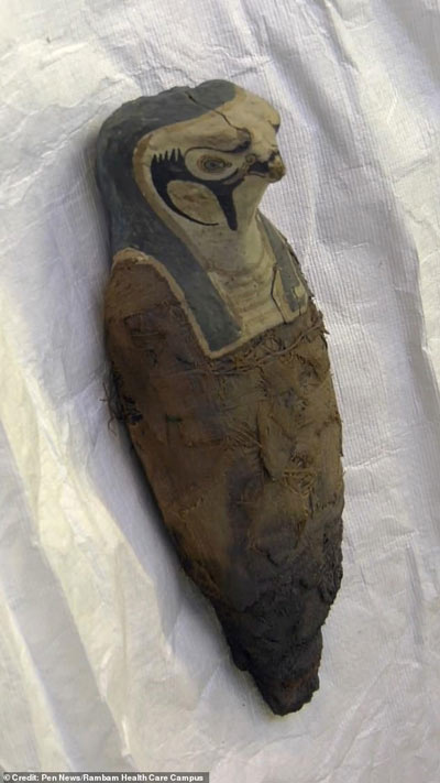 Xác ướp có chứa xác một con chim ưng, biểu tượng của thần Horus