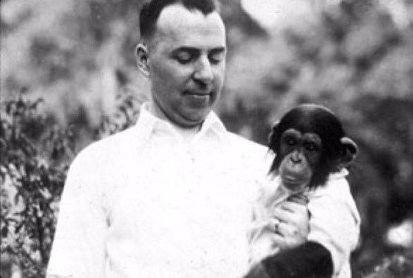 Kellogg đã thực hiện một thí nghiệm nuôi một con tinh tinh nhỏ với chính con trai đẻ của mình