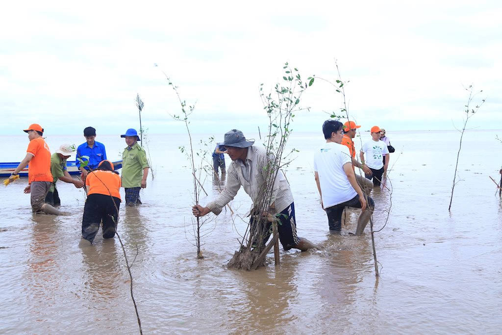 2.000 cây bần để giữ đất được FPT Software ươm mầm tại rừng ngập mặn Sóc Trăng