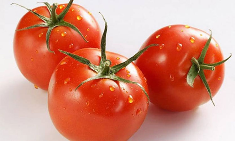 Dùng nước ép cà chua để ngậm rồi nuốt dần.