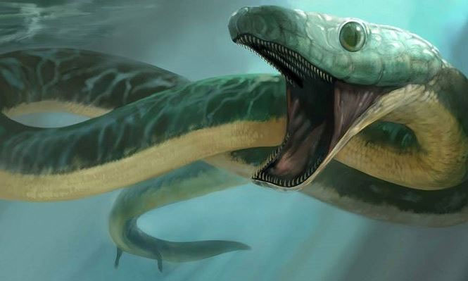 Pachyrhachis problematicus - Loài rắn biển cổ đại có 2 chân