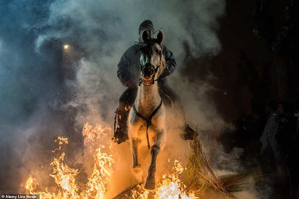 Điều khiển ngựa nhảy qua đống lửa là nghi thức quan trọng nhất tại lễ hội có truyền thống suốt 500 năm