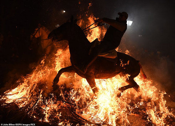ngựa là loài động vật đặc biệt nhạy cảm với bản năng tự nhiên luôn né tránh những đống lửa lớn